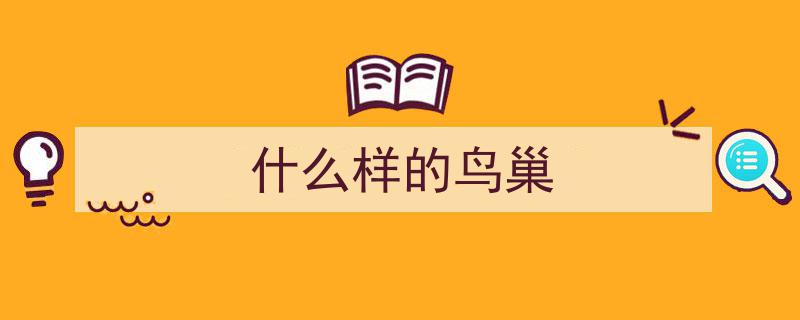 青未了,我家的鸟窝，岁月静好的见证"/