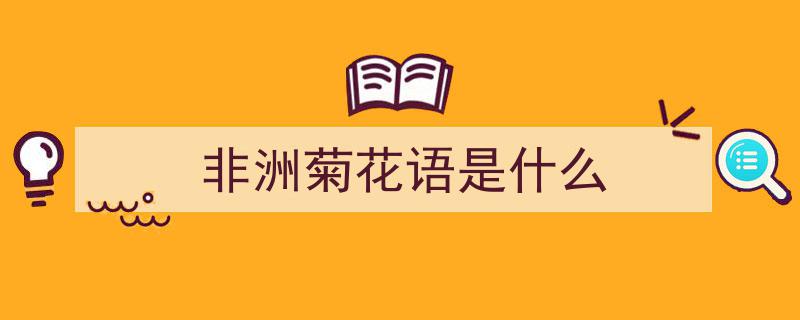 扶郎花绽放，非洲菊风情——探寻花卉之美"/