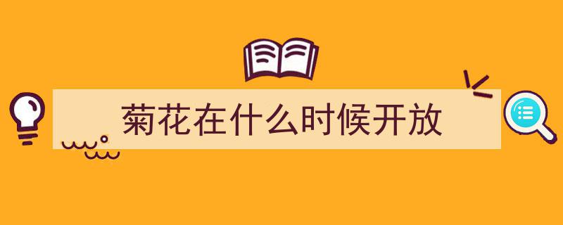 太养眼了！600多种菊花绽放，武汉洪山金秋菊展盛大启幕"/