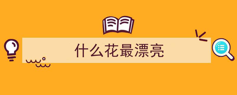 公认开花漂亮！10种盆栽花卉，一盆入室，仙气缭绕美不胜收"/