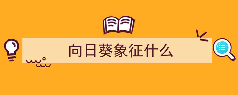 向日葵花语与寓意,追寻阳光，传递美好力量"/