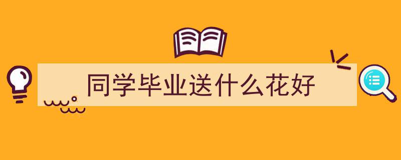 准大学生警惕！热门专业投入百万，毕业月薪仅5000？揭秘真相，心酸现实令人深思"/