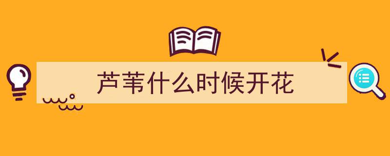 美不胜收！芦苇花盛开，第九届芦花节周末盛大开幕，邀您共赴视觉盛宴"/