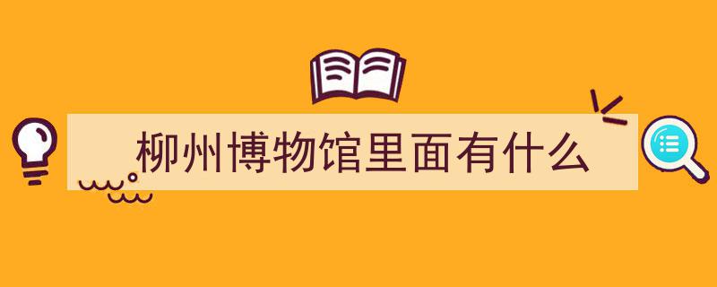 文博之旅,探寻“鹅之山兮柳之水”——柳州历史文化陈列馆的文化瑰宝"/
