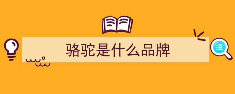 汽车电瓶怎么选？瓦尔塔、骆驼、风帆品牌对比，喵哥全方位解析"/