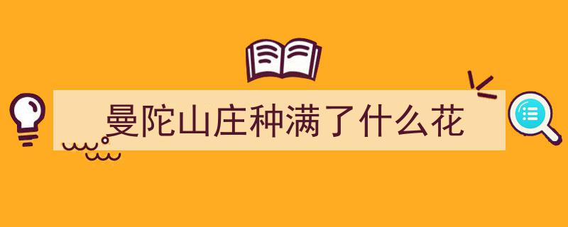 语闻成都·二十四番风信（2）,山茶幽香耐久绽，深月映照占春风"/