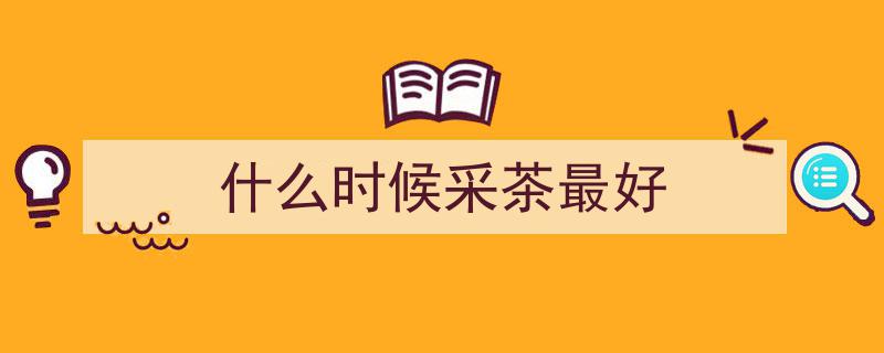 贵州,多地春意盎然，采茶旺季拉开序幕"/