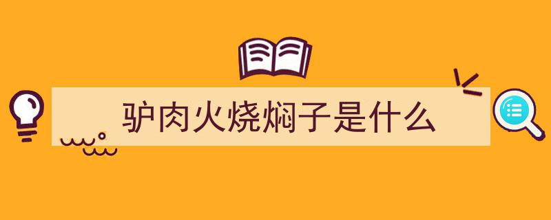 京畿名品探秘,河间大火烧夹驴肉，味蕾之旅不容错过"/