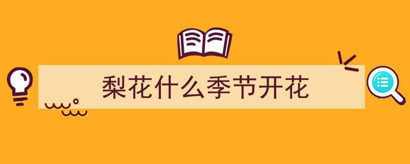 梨花映春,绽放春日里的诗意画卷"/