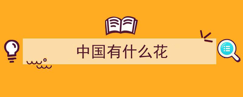 探寻中国十大名花,千年风华绽放之谜"/