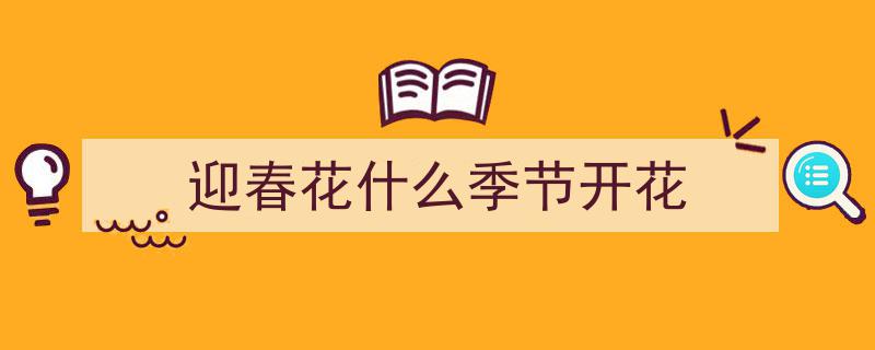 迎春花次第绽放，赏花季盛大启幕在即"/