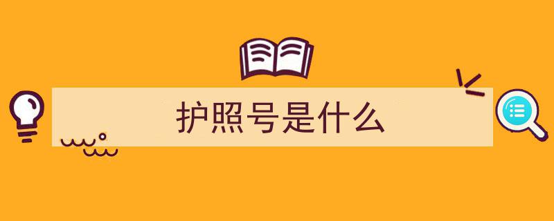 0与O、1与I辨析,揭秘护照号识别的五种方法"/