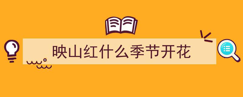 辽宁花地·杜鹃打卡季,赏花踏青好去处"/