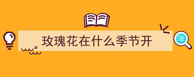 玫瑰也有烦恼,探寻花中仙子的情感世界"/