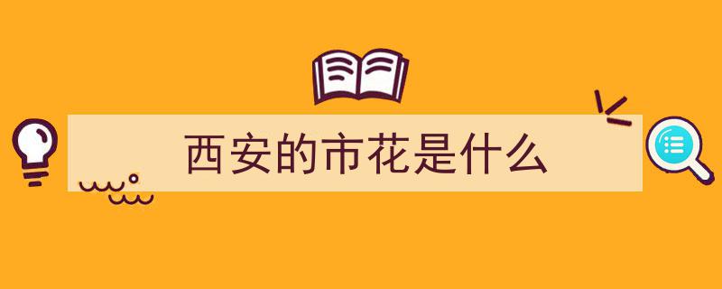 “长安花”绽放繁盛时，西安热情邀你来赏花之旅"/