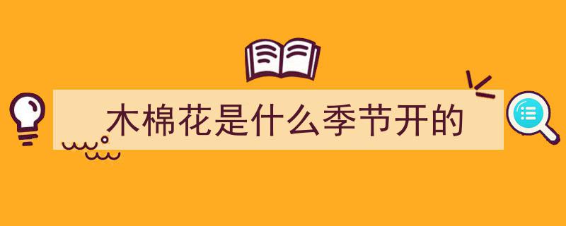 早春木棉红,春意盎然的初绽花语"/