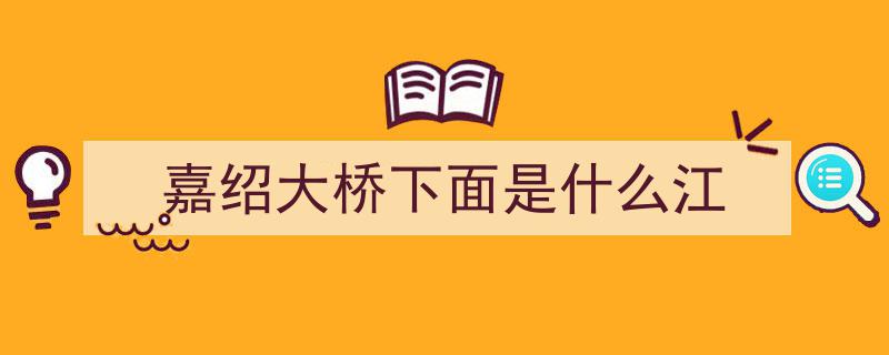 世界级大桥震撼来袭！揭秘嘉绍大桥的非凡实力"/