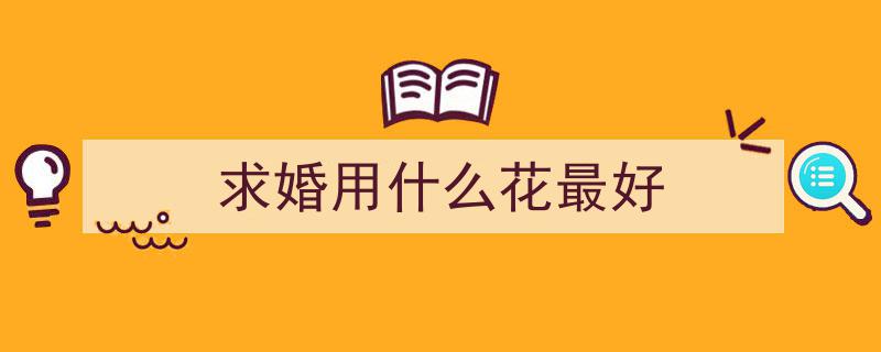 刘雨辰求婚惊喜揭秘,被调侃的小花竟是备用，这才是真正的求婚之花！"/