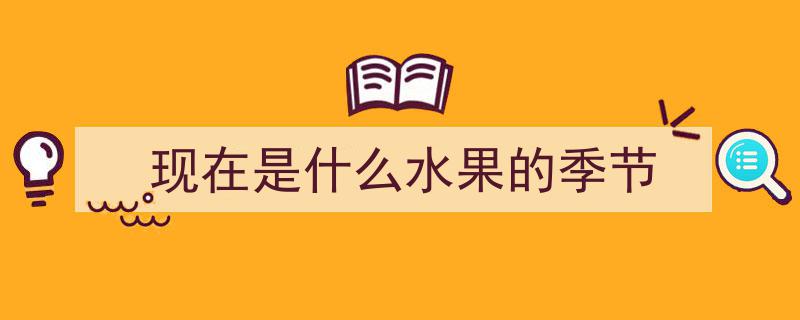 鲜果派对再迎新成员！火龙果闪耀登场，共赴热带风情盛宴"/