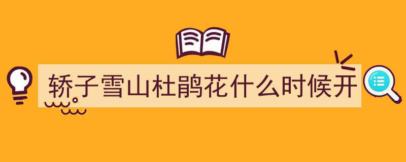 轿子雪山现4年来最大杜鹃花海，摄影师争相“追花”记录春色盛景"/