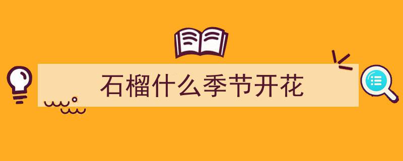 石榴树花芽孕育,揭秘最佳几月份形成之谜"/