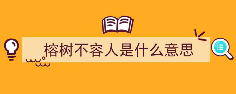广东揭阳300年古树奇迹,扎根门顶，枝繁叶茂，引数万网友慕名探访"/