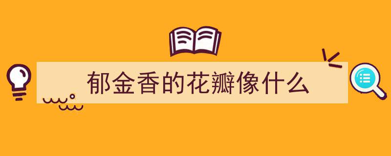 头一回邂逅五彩郁金香，花瓣似金鱼，美醉春日心间"/