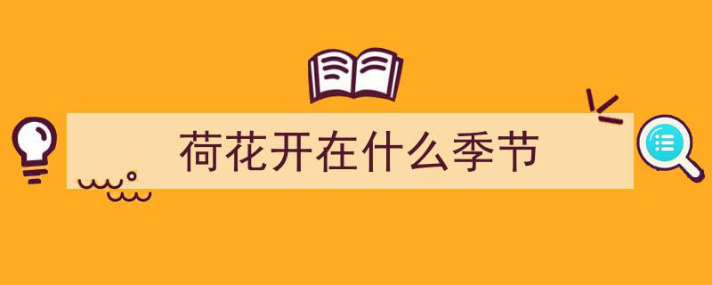 盛夏荷花盛宴,圆明园第二十六届荷花节盛大开幕，200余品种竞艳至8月20日"/