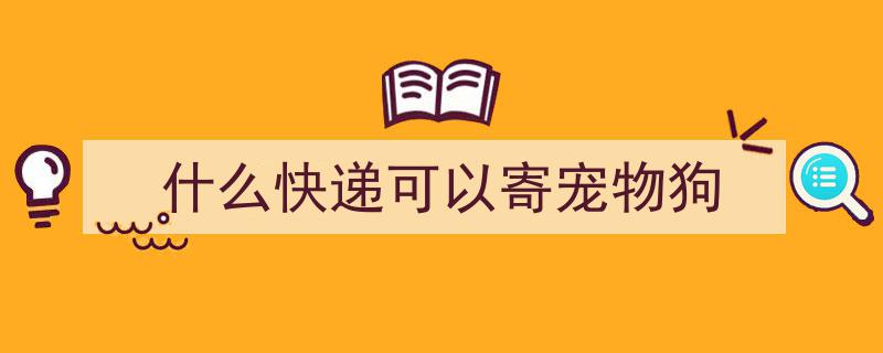 狗狗神技,开门迎接快递，温馨瞬间记录到家"/