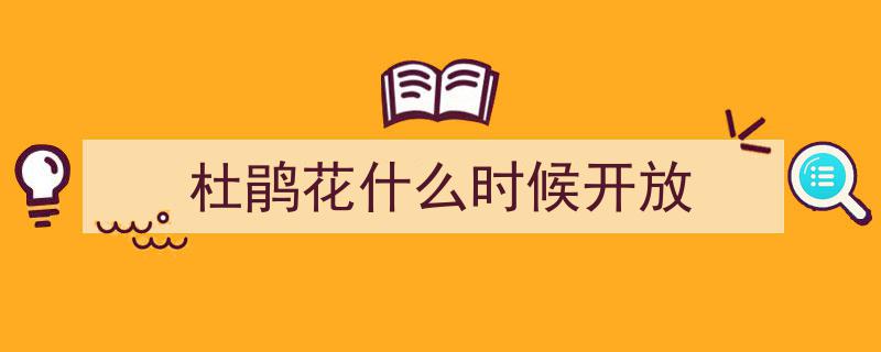 美爆了！龙头山杜鹃盛花期将至，央视带你现场打卡"/
