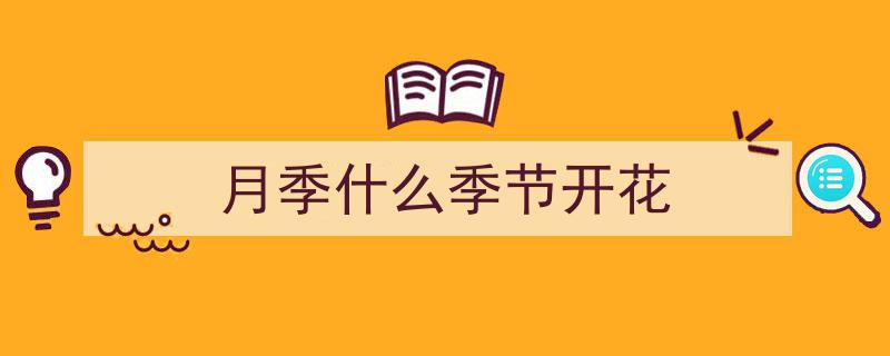月季盛宴,9款神仙品种，月月花开不重样，品种多到让人爆炸！"/