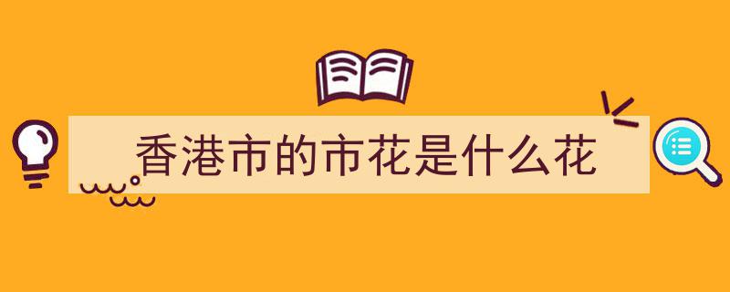 香港市花紫荆绽放，共庆香港回归二十周年华诞"/