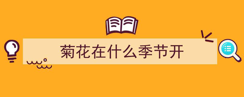 菊花种子最佳播种时间及科学播种与培育攻略全解析"/