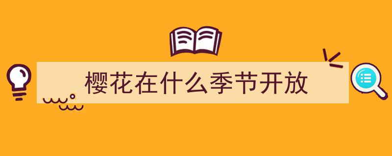 夏日温柔守护，SAKURA樱花安检季,只为每一次的安心之旅"/