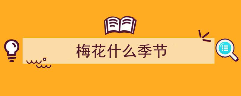 雨水时节，梅花傲雪艳丽绽放"/