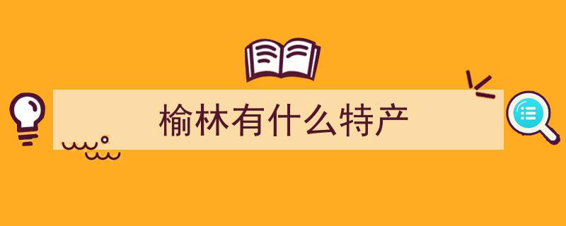 【文化中国行】陕西榆林,探寻塞上驼城的文化韵味与魅力"/
