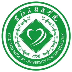 右江民族医学院