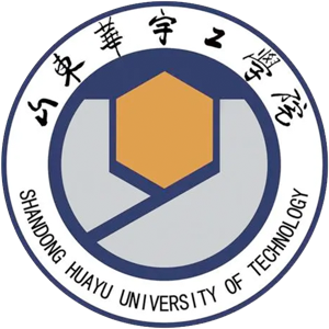 山东华宇工学院