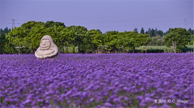 上海紫海鹭缘浪漫庄园
