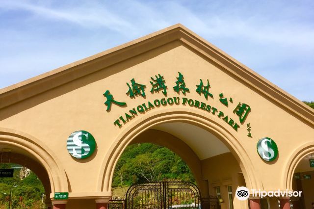 天桥沟森林公园