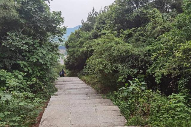益阳皇家湖生态旅游区