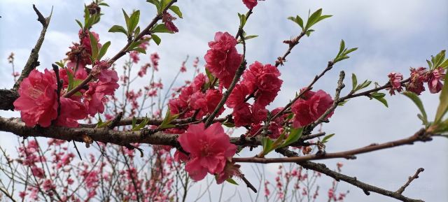 株洲仙庾岭风