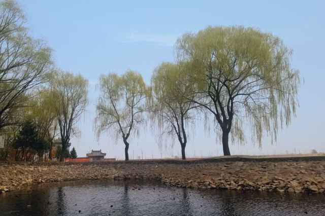 沈阳猪踪朝阳寺