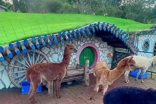 吉林圣鑫葡萄酒庄园