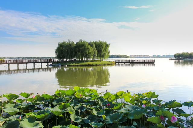 武清南湖游乐园