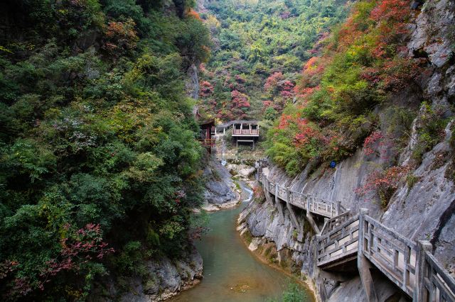 成县西狭颂风