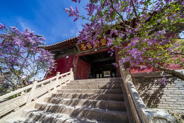 武威海藏寺