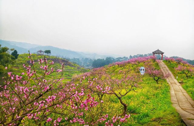 重庆永川桃花源