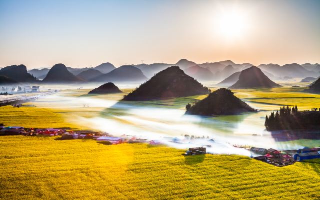 罗平油菜花海