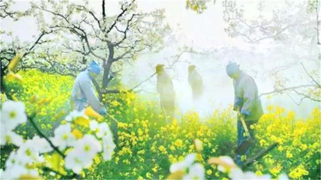 刘村万亩梨园风